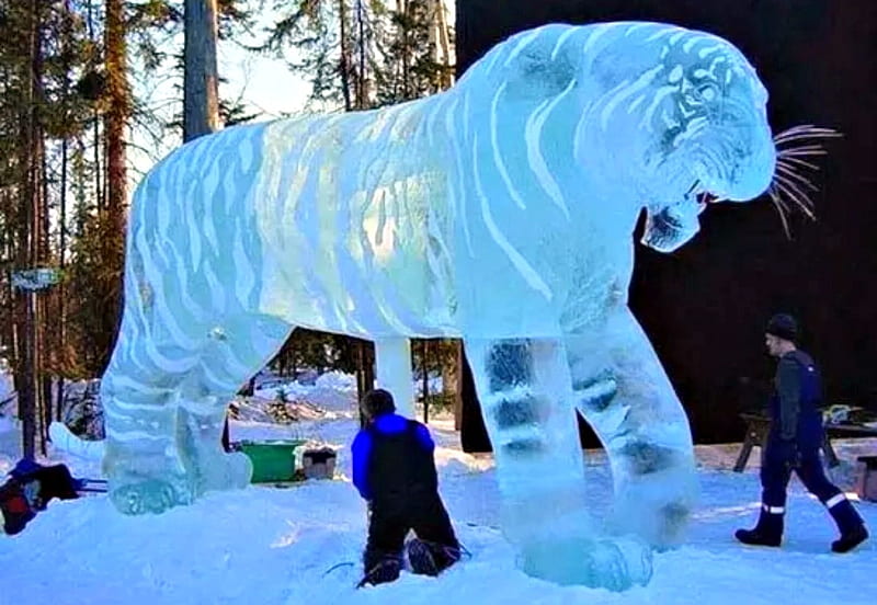 Tiger, Sculpture, Ice, Men, Nature, Winter, HD wallpaper