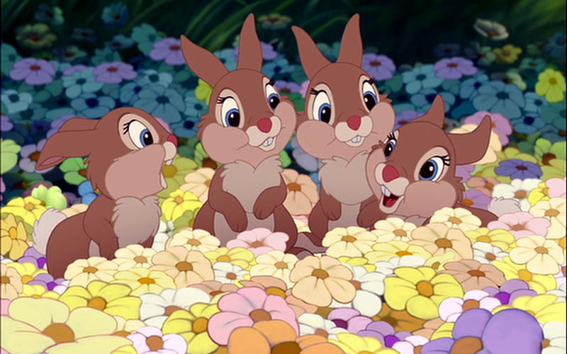 Thumper Sisters, Brown, Movies, Bunnies, Thumper, Flowers, Sister, Bambi, HD wallpaper