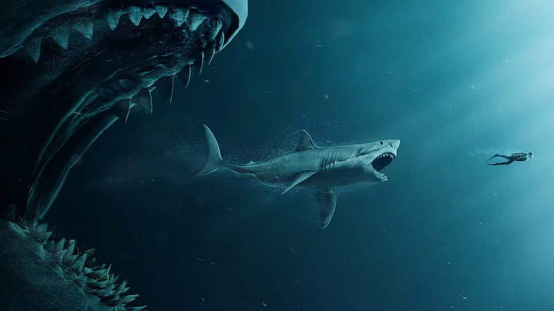 The Meg (2018), shark, poster, vara, water, summer, the meg, blue, sea, movie, HD wallpaper
