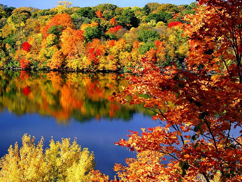 Autumn colors, fall, colorful, autumn, shore, falling, bonito, foliage,  mirrored, HD wallpaper | Peakpx