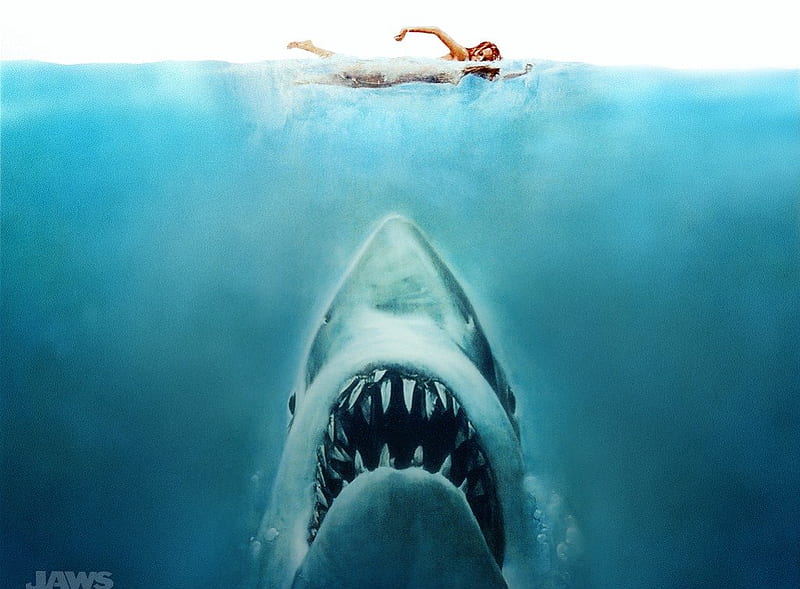 Jaws, shark, attack, terro, fish, HD wallpaper