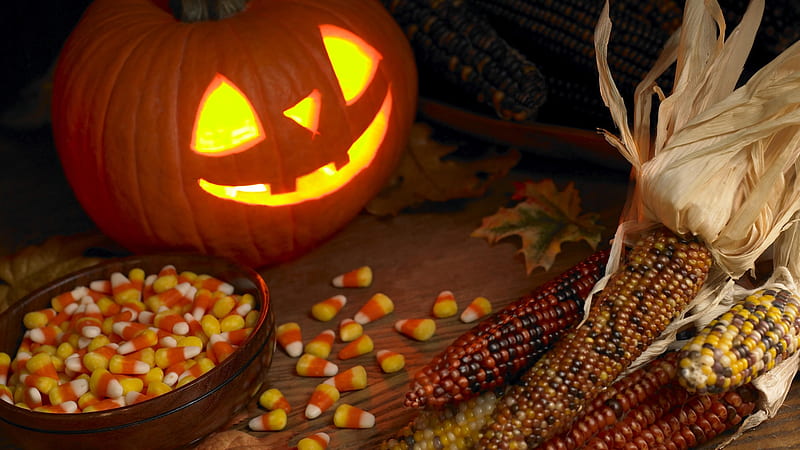 Trick~Or~Treat, Halloween, treat, corn, trick, JOL, candy corn, HD wallpaper