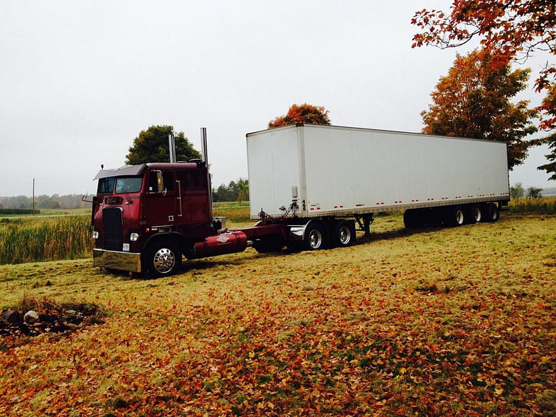 Cabover, truck, big rig, semi, HD wallpaper
