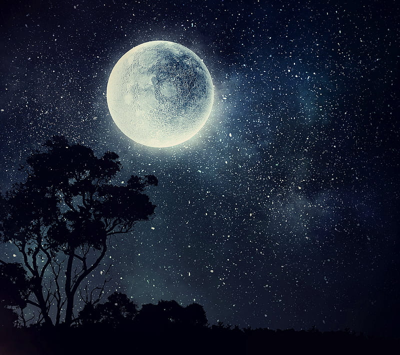 The Moon, abstract, moon, moons, moonshine, nature, night, planet, stars, tree, HD wallpaper