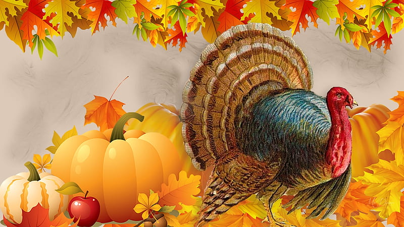 Thanks Giving, fall, autumn, apples, squash, gourds, leaves, Thanksgiving, turkey, Firefox Persona theme, pumpkins, HD wallpaper