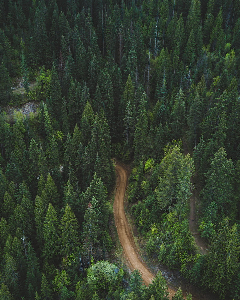 Brown Soil Pathway Between Green Leaf Trees In Aerial Graphy During Daytime Hd Phone Wallpaper