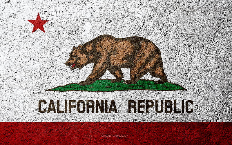 Flag of State of California, concrete texture, stone background, California flag, USA, California State, flags on stone, Flag of California, HD wallpaper