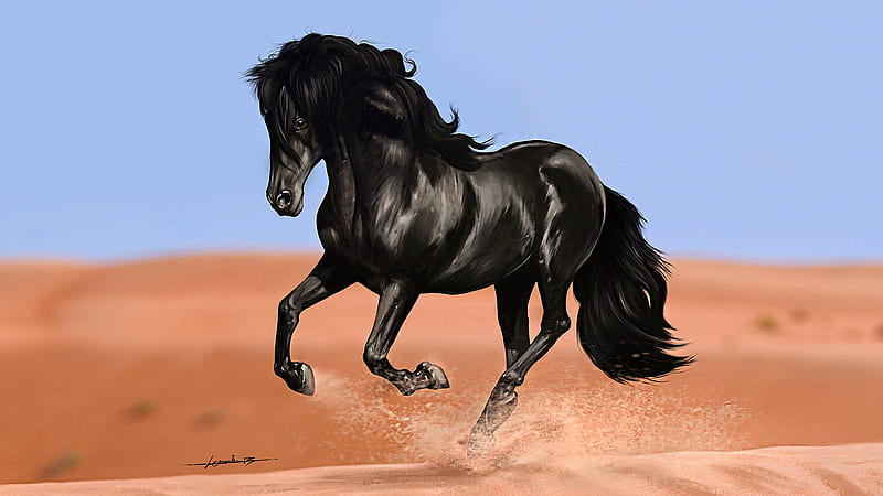 Black Horse With Shallow Background Of Desert And Blue Sky Horse, HD wallpaper