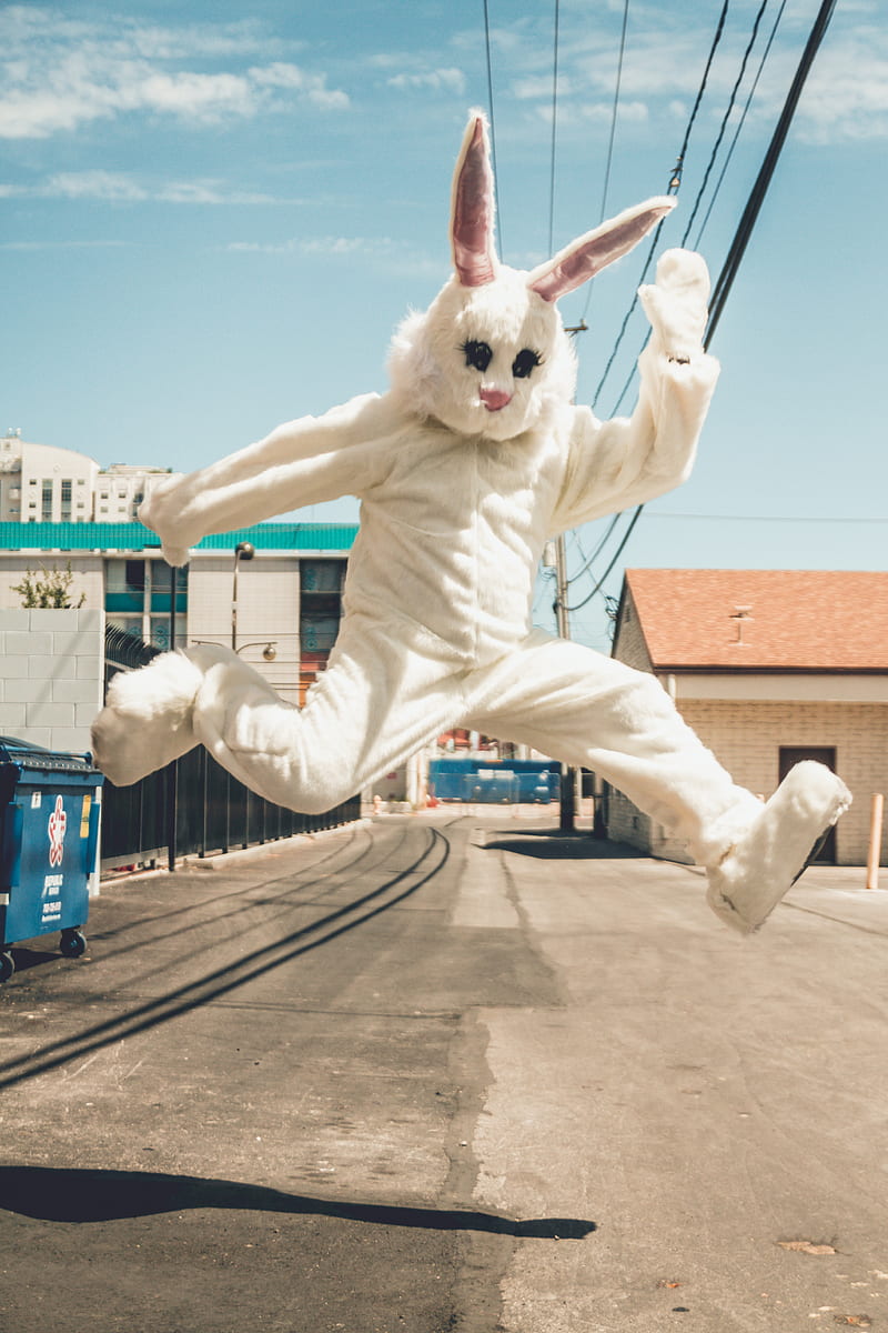 man in bunny costume in mid air in time lapse graphy, HD phone wallpaper