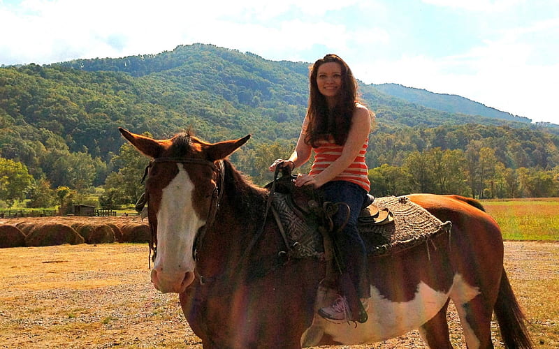 Cowgirl Mule Skinner, female, westerns, mules, ranch, fun, outdoors, women, cowgirls, girls, style, HD wallpaper