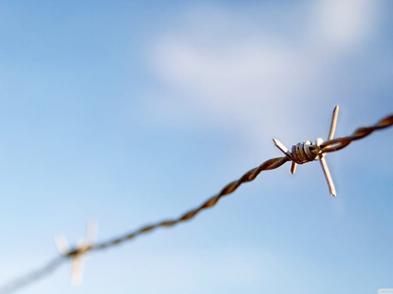 barbed wire-military-related items, HD wallpaper
