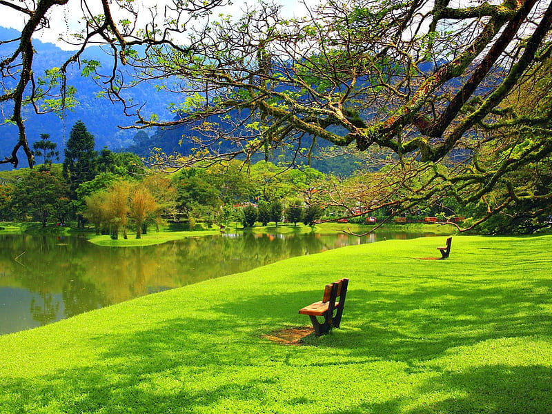 Sitting place, rest, calmness, grass, relax, place, park, trees, lake, pond, mountain, green, beauty, nature, reflection, HD wallpaper