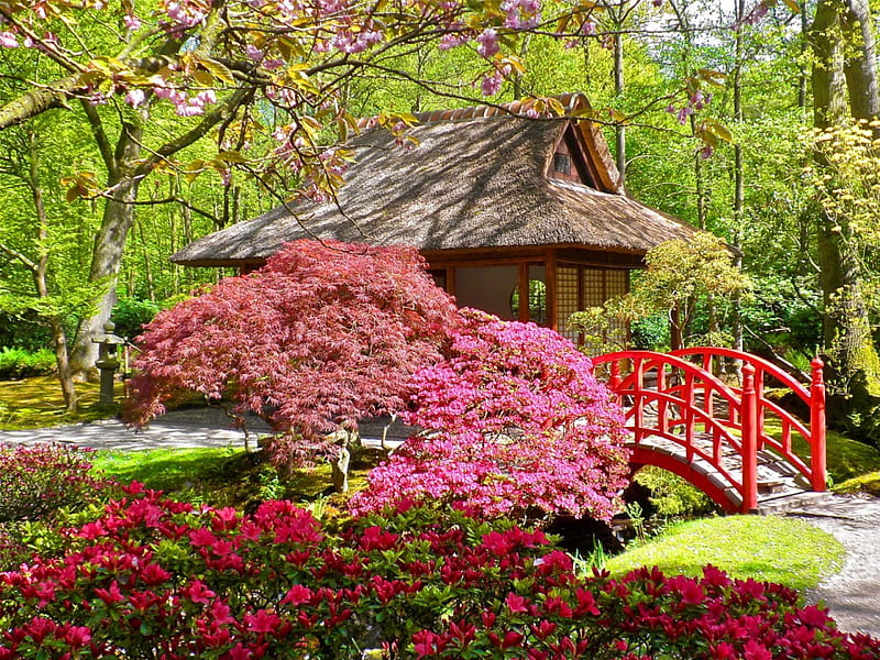 Japanese garden, pretty, colorful, cottage, bonito, nice, bridge, flowers, lovely, japanese, greenery, spring, park, creek, trees, freshness, blossoms, garden, blooming, HD wallpaper
