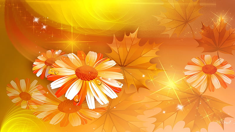 Chamomile So Bright, fall, autumn, orange, firefox persona, leaves, gold, blossoms, flowers, shadows, blooms, HD wallpaper