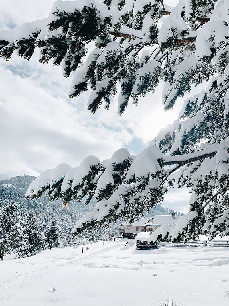 nature, house, snow, winter, landscape, HD phone wallpaper