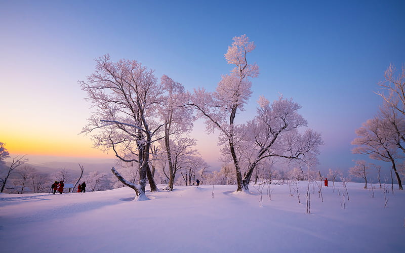 Cold Winter Rime 2022 Snow Mountain Sunset, HD wallpaper