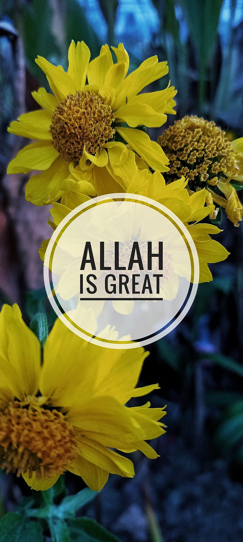 Allah is great, flower, flowers, nature, yellow, HD phone wallpaper