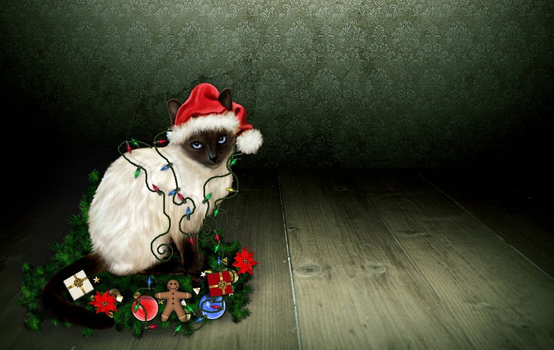 Christmas Kitty, pretty, holidays, christmas balls, christmas cat, bonito, adorable, magic, cat eyes, xmas, sweet, ball, magic christmas, decorations, beauty, animals, lovely, holiday, christmas, decoration, kitty, christmas decoration, new year, happy new year, cat, cat face, hat, cute, santa, merry christmas, balls, kitten, HD wallpaper
