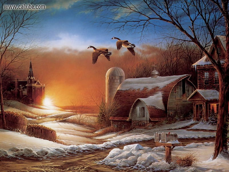 Sharing Seasons, ducks, farm, migration, winter, HD wallpaper