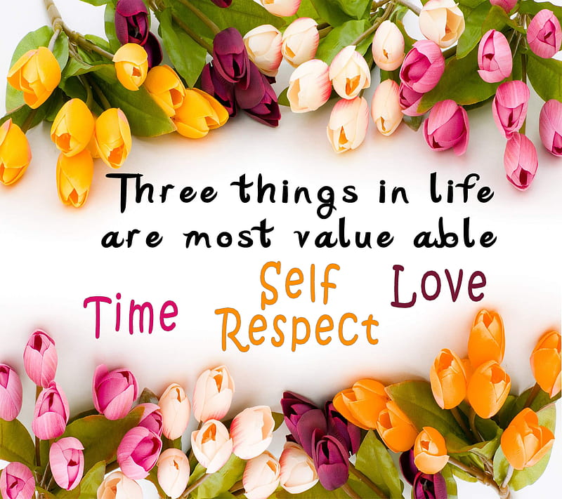 Best Quote, flower, love, saying, self respect, time, HD wallpaper