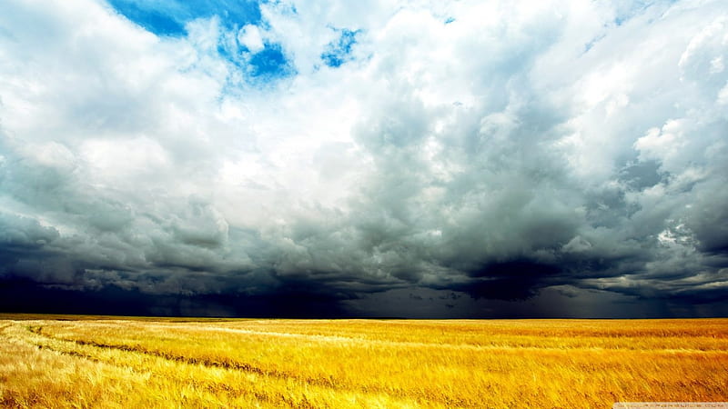 Storm brewing, storms, sky, clouds, forces of nature, new, nature, fields, popular, HD wallpaper