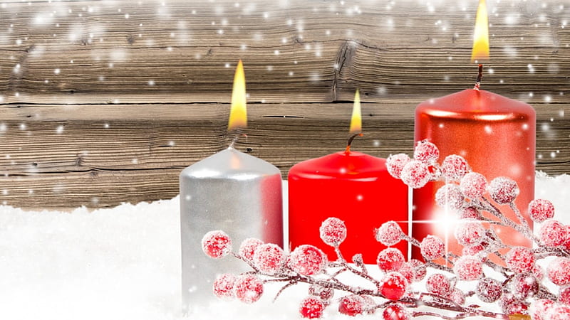 Candles Lit for Christmas, Christmas, holiday, berries, snow, Feliz Navidad, candles, winter, light, HD wallpaper