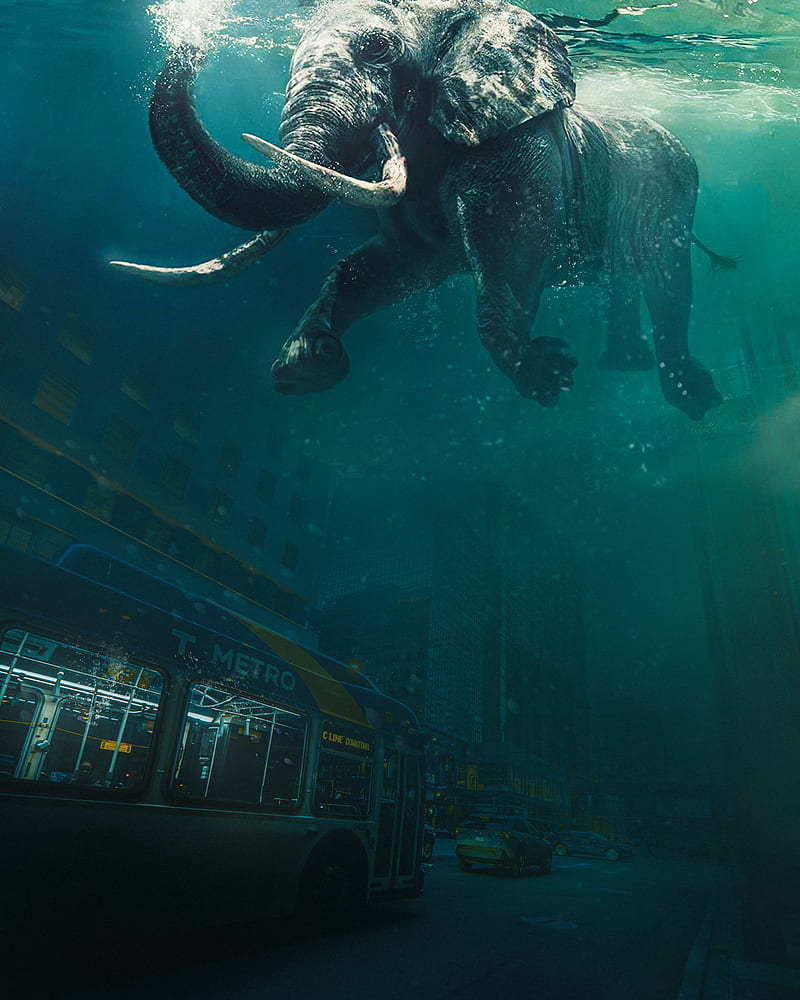 Underwater city, aqua, surreal, mermaid, floating, undersea, cityscape, elephant, HD phone wallpaper