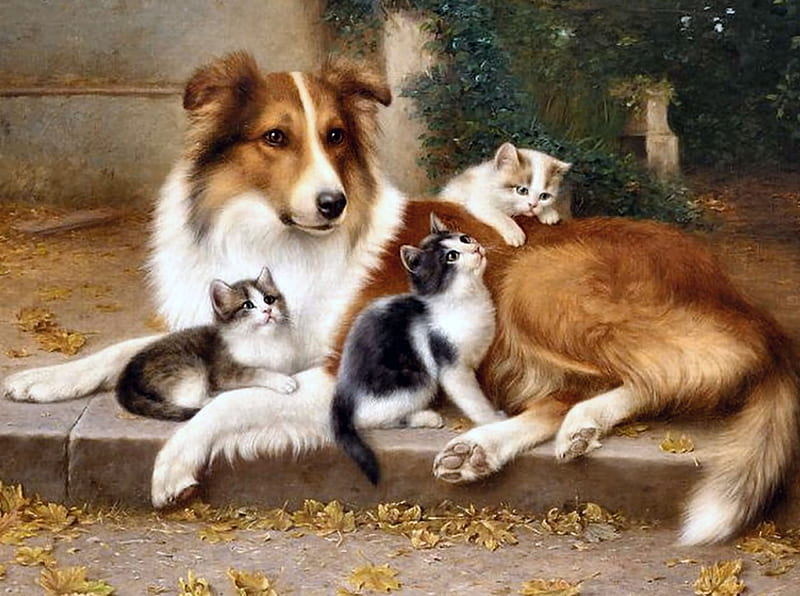 Collie Dog and Kittens F, art, kittens, bonito, pets, artwork, canine, animal, feline, painting, wide screen, cats, dogs, HD wallpaper