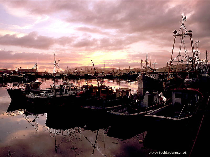 Dingle harbor, ships, ireland, ocean, dusk, bonito, sunset, sea, boats, nice, dock, pink sky, HD wallpaper