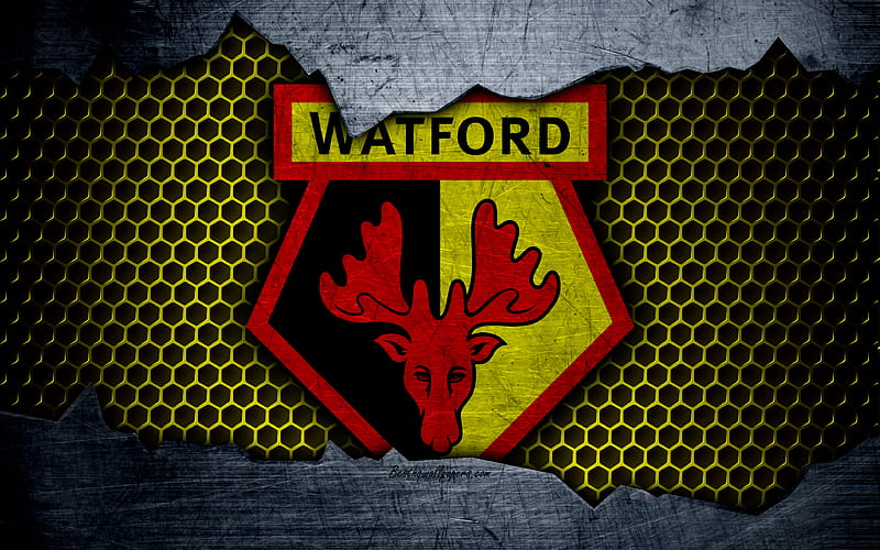 Lwn hotspur tottenham f.c. watford f.c. Watford FC