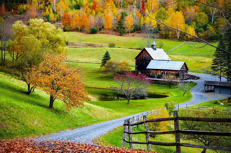 Autumn in Vermont, forest, colorful, fall, autumn, house, grass, Vermont, cottage, bonito, trees, pond, path, peaceful, village, landscape, meadow, HD wallpaper