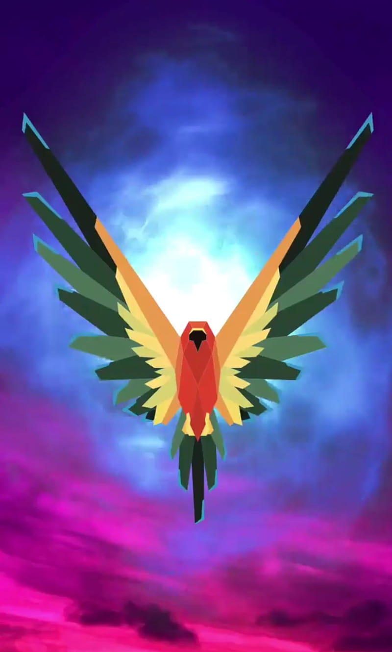 Maverick, bird, wing, wings, HD phone wallpaper