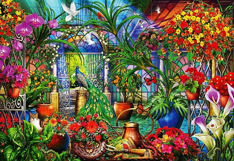 Tropical Green House, butterfly, dove, painting, colors, flowers, peacock, HD wallpaper