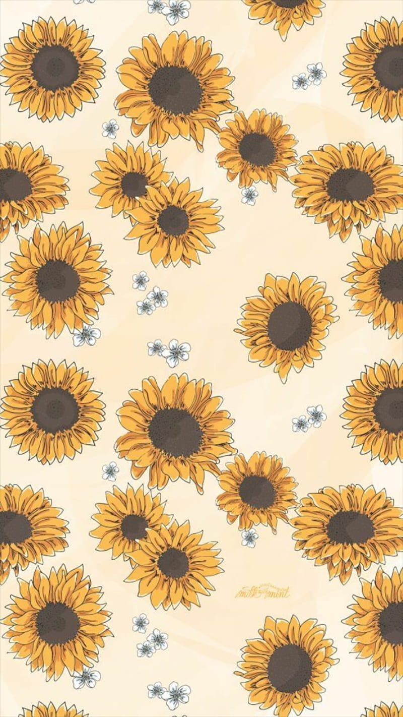 Sun, aesthetic, sunflower, HD phone wallpaper | Peakpx