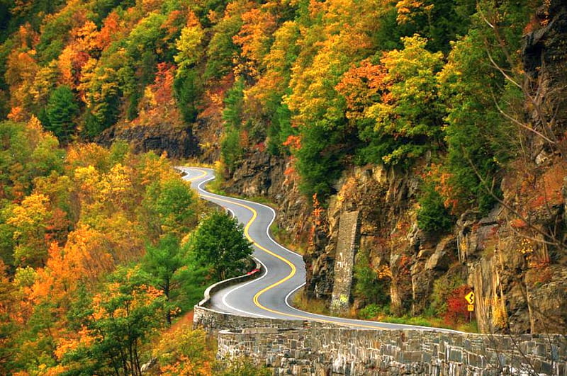 Colors of Autumn, autumn, colors, bonito, road, HD wallpaper | Peakpx