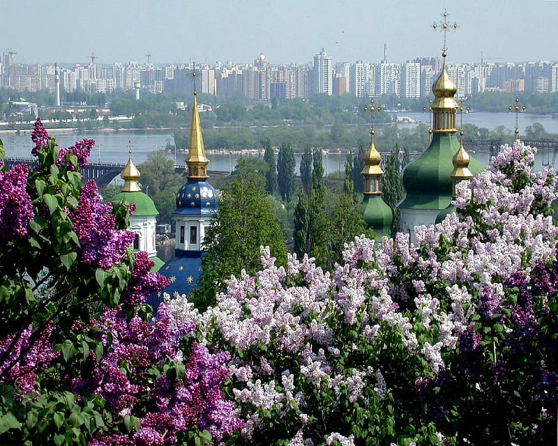 Lilac Vision, spires, city, purple, view, kiev, river, lavender, lilacs, HD wallpaper