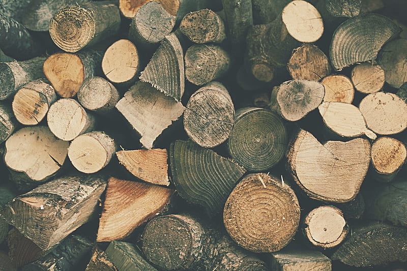 brown tree logs, HD wallpaper