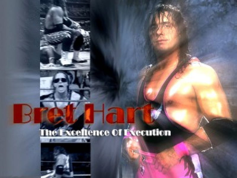 Brett Hart, champion, wrestling, wwe, HD wallpaper | Peakpx