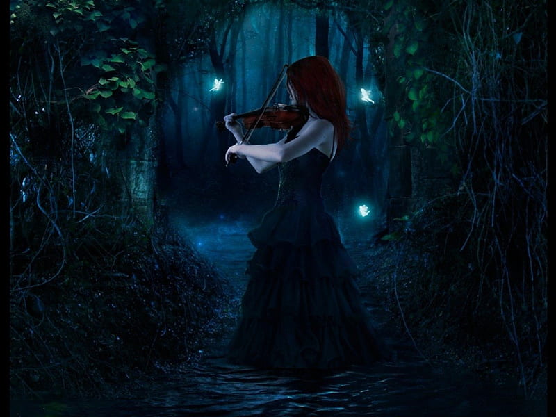 Music Of The Night Fairies Female Music Violin Night Forest Hd Wallpaper Peakpx 