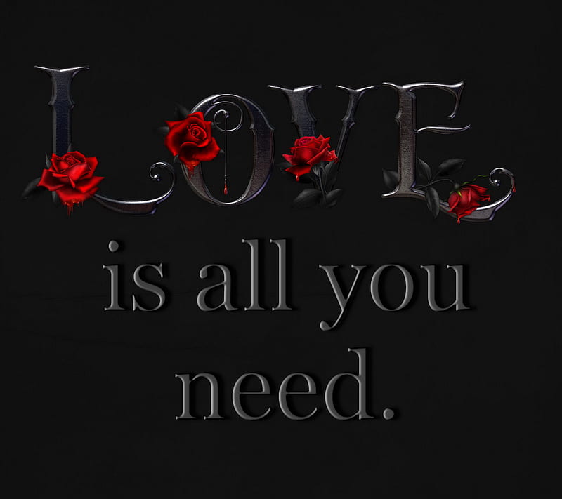 All You Need, all, letters, love, need, quote, red, rose, saying, sign, you, HD wallpaper