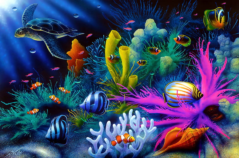 Sea world, colorful, world, water, fish, turtle, coral, under, sea, bonito,  HD wallpaper | Peakpx