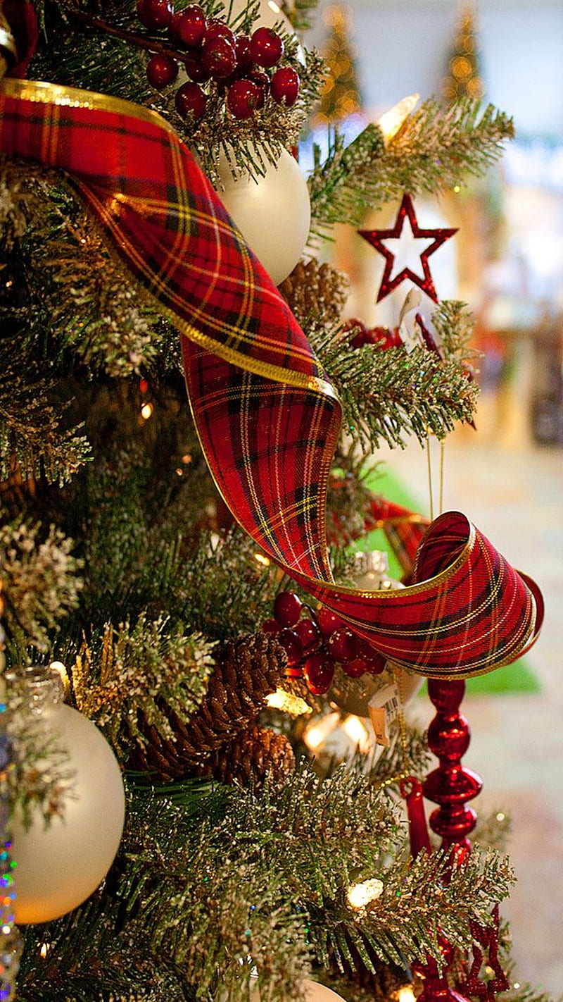 Christmas Tree, christmas, tree, HD phone wallpaper