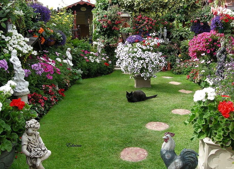 Cat Garden, home, garden, flowers, black cat, HD wallpaper