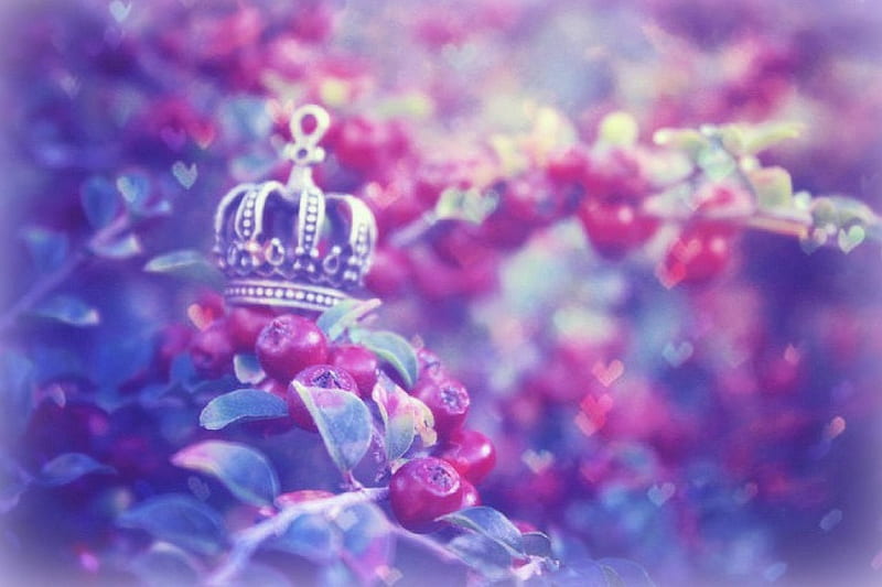 ✫The Pixie King's Crown✫, king, softness beauty, bonito, still life, graphy, flowers, magnificent, lovely, love four seasons, creative pre-made, corazones, trees, cherry fruits, plants, crown, weird things people wear, beloved valentines, HD wallpaper