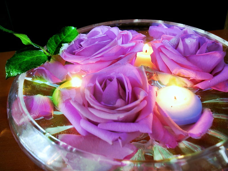 Light and beauty, fresh, feng shui, roses, pink, energy, candles, light, HD wallpaper