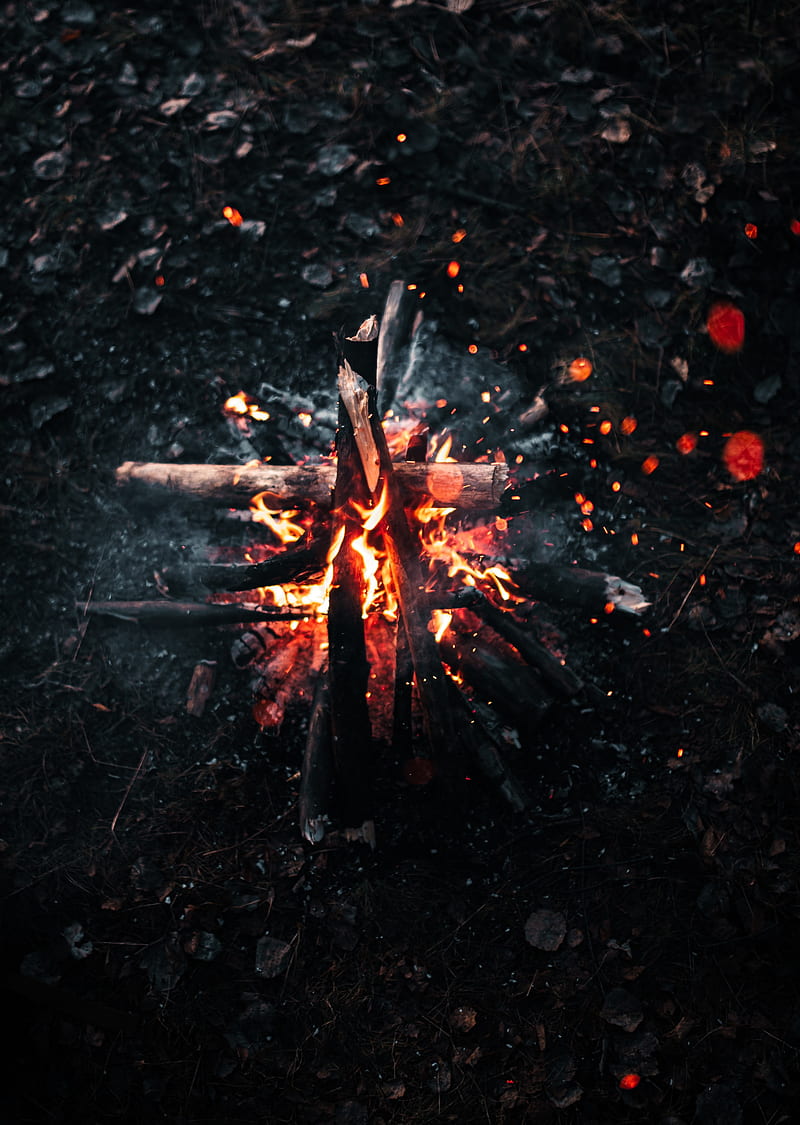 bonfire, fire, sparks, firewood, burn, HD phone wallpaper