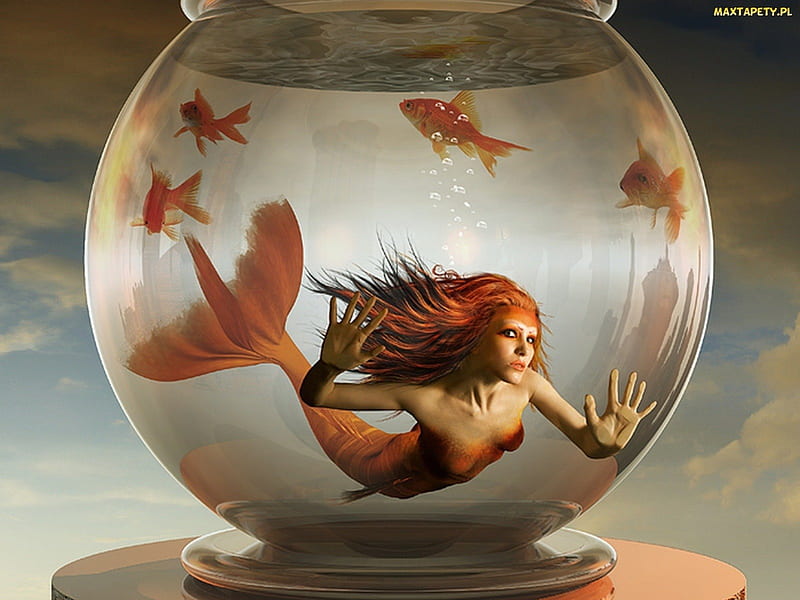 Mermaid Bowl, fantasy, water, fish, mermaid, bowl, HD wallpaper
