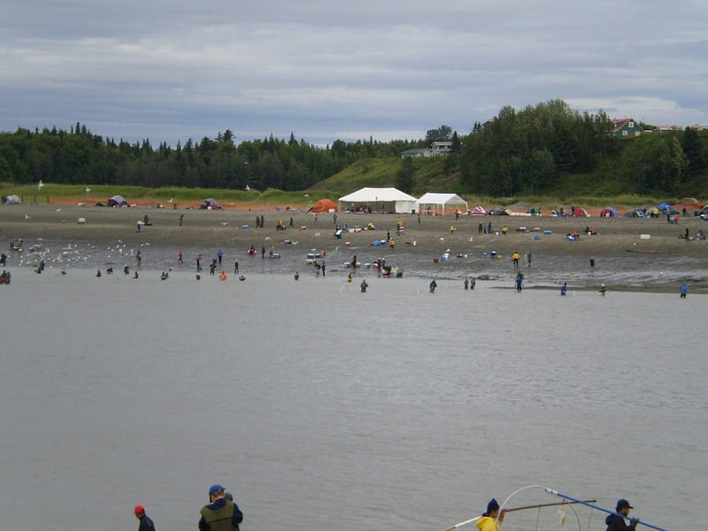 alaska dip nettting season, fishing, people, HD wallpaper
