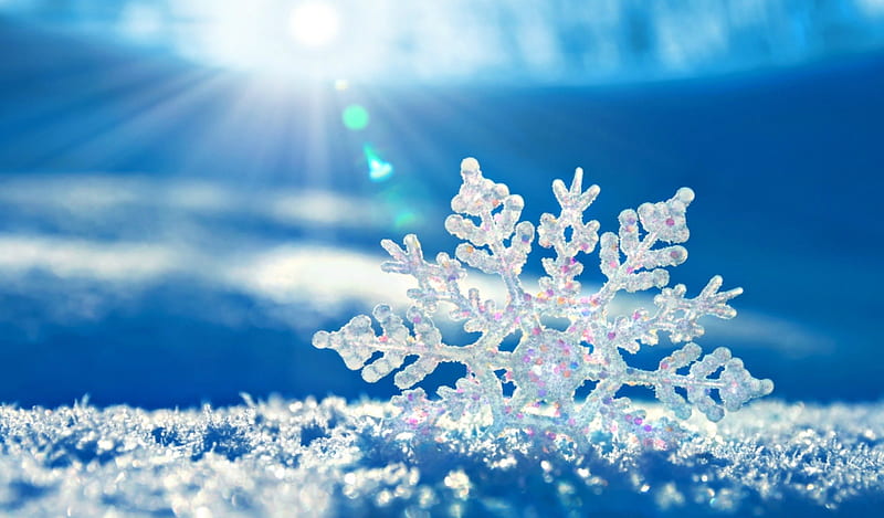 Crystal Snow Flake, snowflake, graphy, snow, bright, ice, crystal, light, HD wallpaper