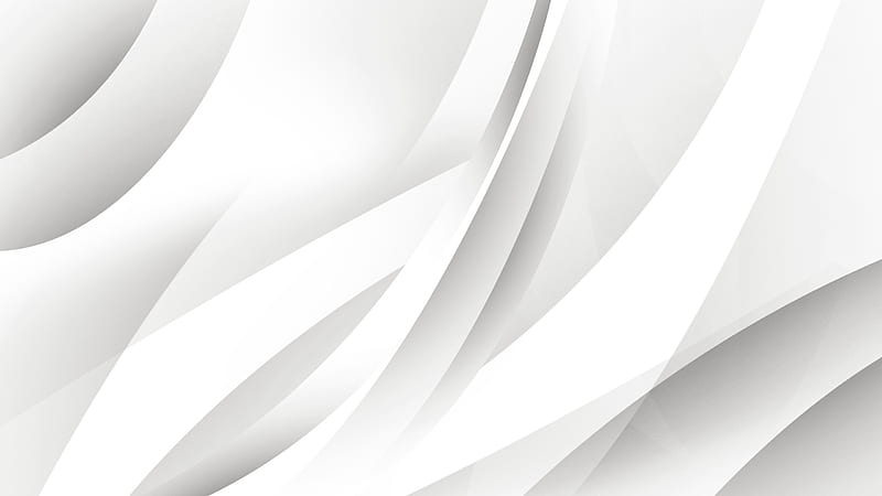 100 Pure White Background s  Wallpaperscom